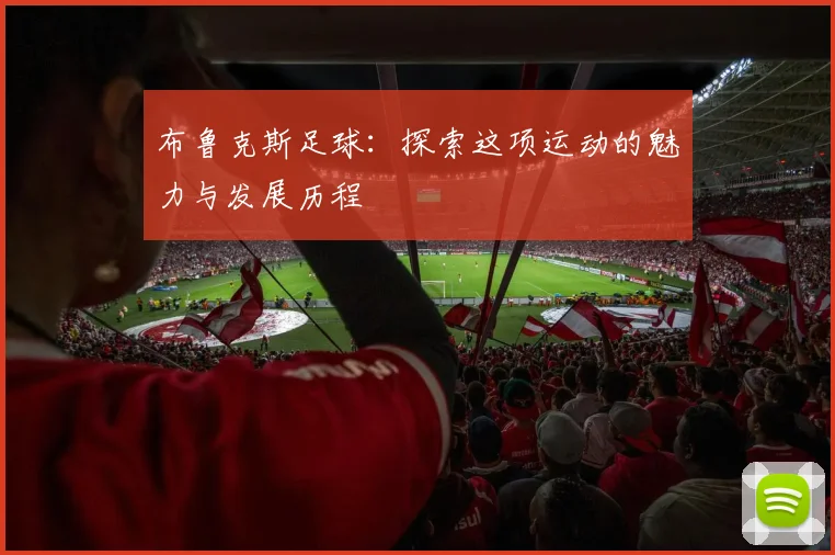 布鲁克斯足球：探索这项运动的魅力与发展历程